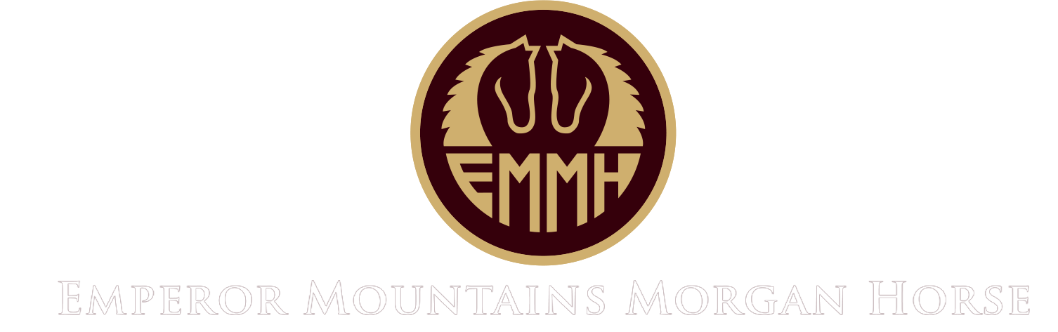 Emperor Mountains Morgan Horse  